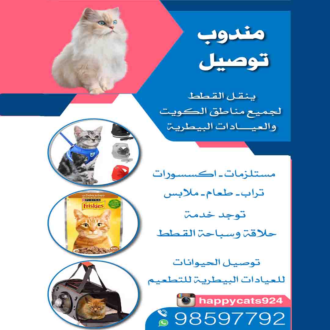 مندوب توصيل قطط - مستلزمات واكل القطط 98597792