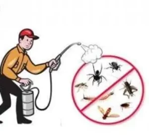 شركة مكافحة حشرات بالكويت 