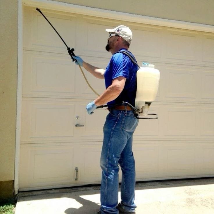 مكافحة حشرات السرة 66090307 | ملوك التسويق للدعاية والاعلان