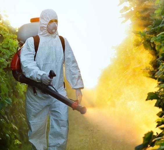 مكافحة حشرات دسمان